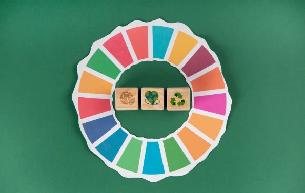 objetivivos de sostenibilidad en fondo verde pallets de madera sustentables