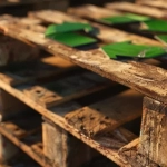 pallets de madera con el simbolo de reciclaje - pallets de madera sustentables