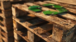 pallets de madera con el simbolo de reciclaje - pallets de madera sustentables