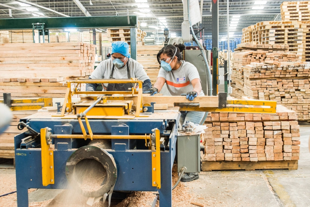 personal fabricando tarimas de madera