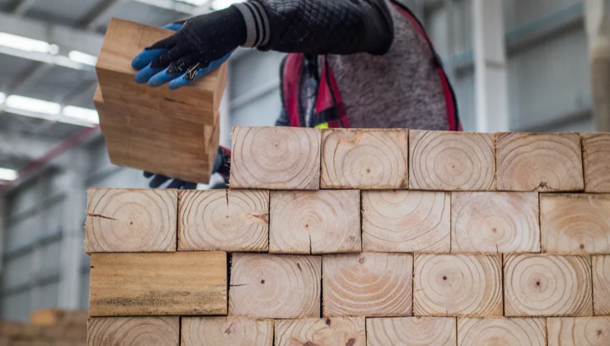 Pallets de madera. Trazabilidad y bosques sustentables. 